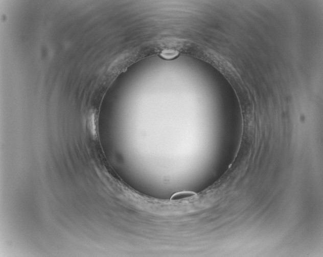 X0000060240042200510281130