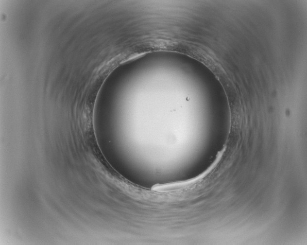 X0000060240043200510281130