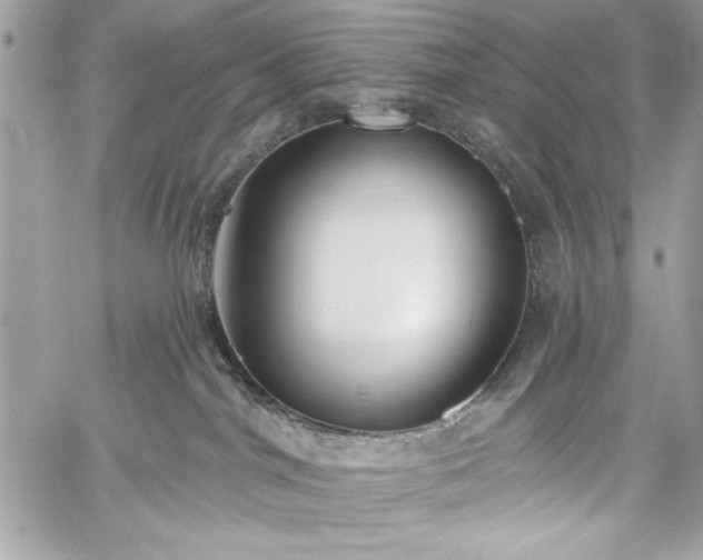 X0000060240044200510281130