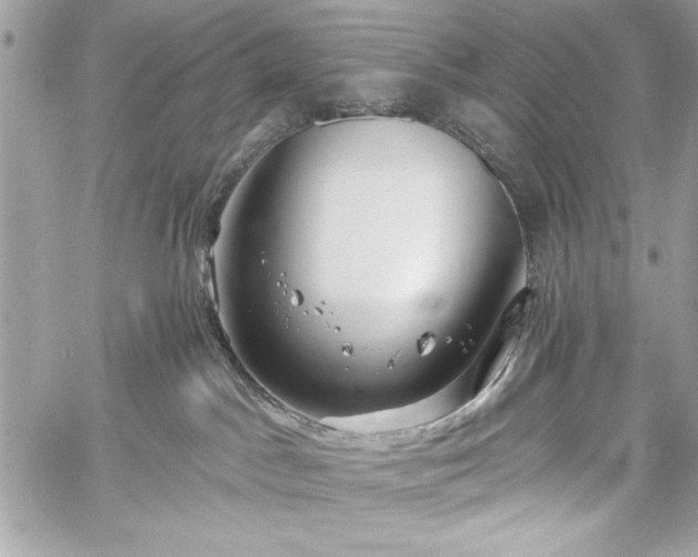 X0000060240045200510281130