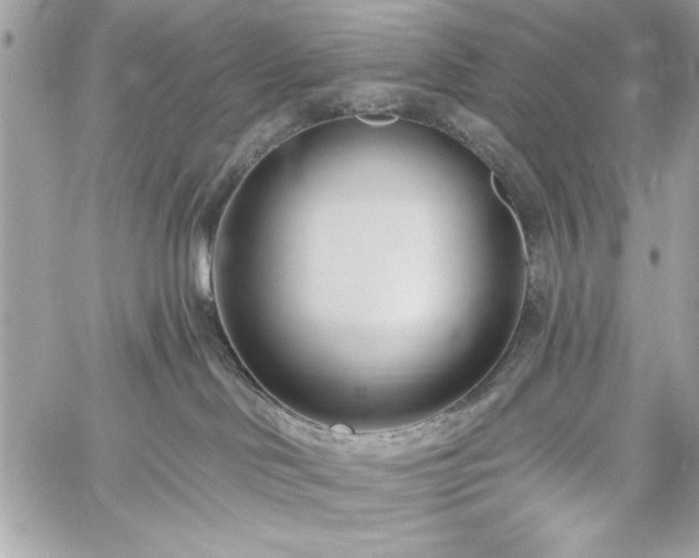 X0000060240046200510281130