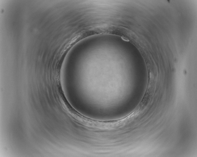 X0000060240048200510281130