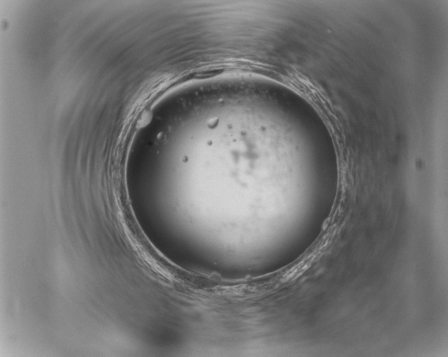 X0000060240049200510281129