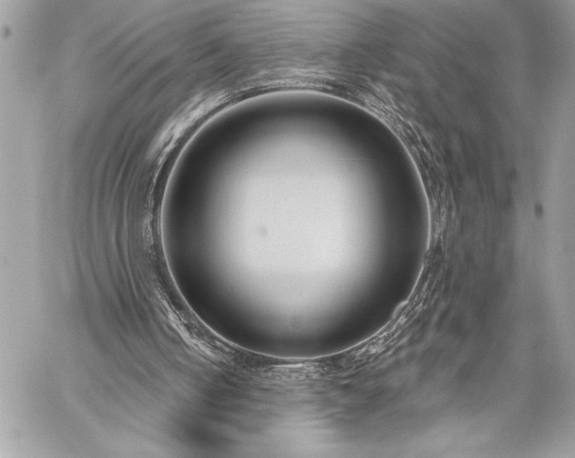 X0000060240050200510281129