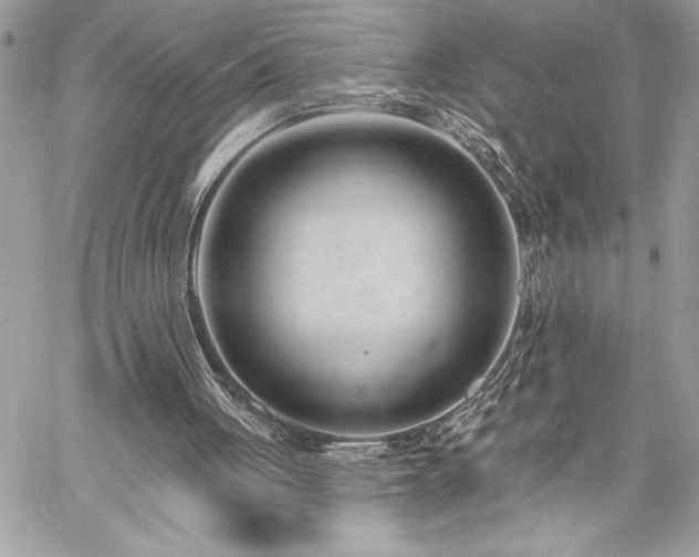 X0000060240051200510281129