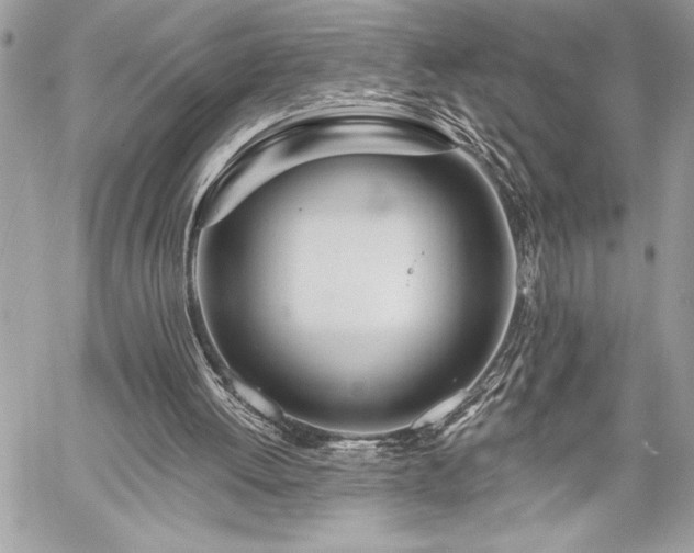 X0000060240052200510281129