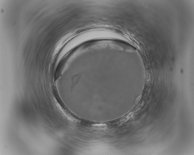 X0000060240053200510281129