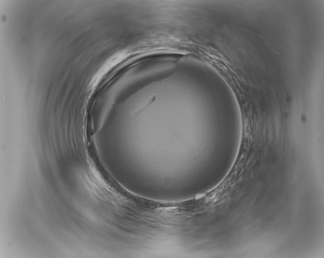 X0000060240054200510281129