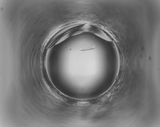 X0000060240055200510281129