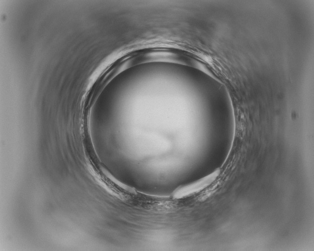 X0000060240056200510281129