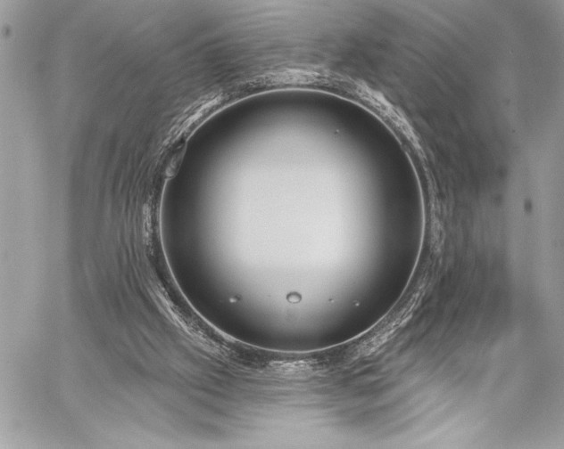 X0000060240057200510281129