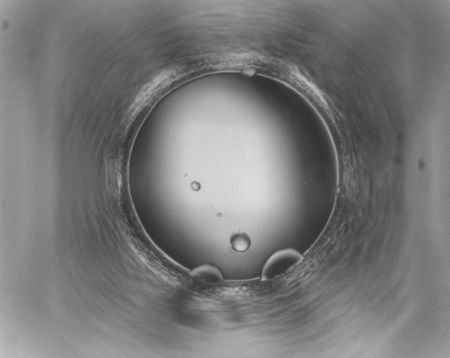 X0000060240059200510281129