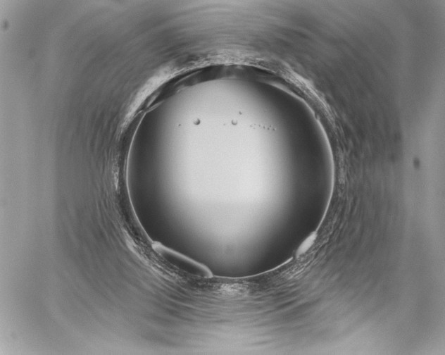 X0000060240060200510281129