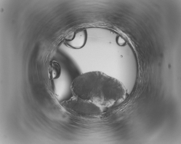 X0000060240061200510281129