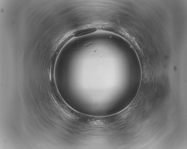 X0000060240062200510281129