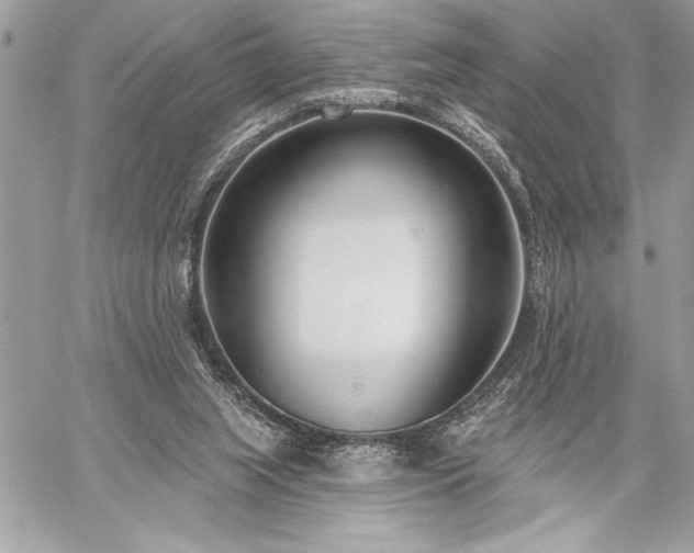 X0000060240063200510281129