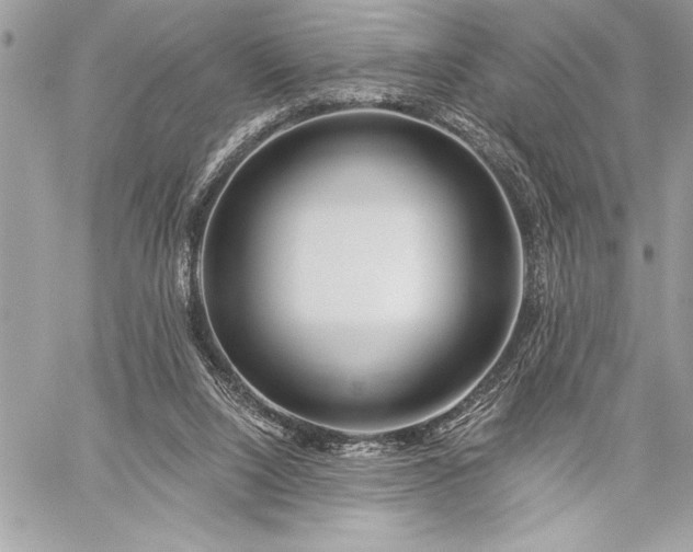 X0000060240064200510281129