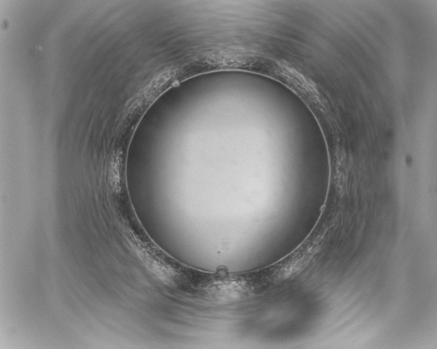 X0000060240065200510281129