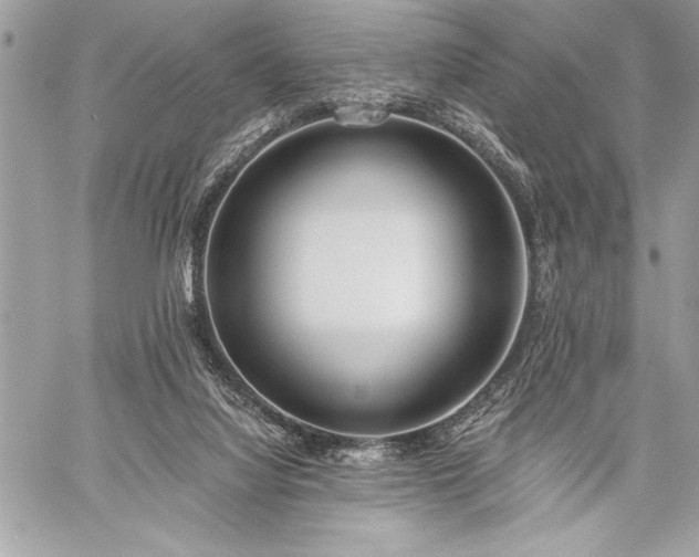 X0000060240068200510281129