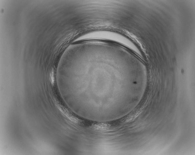 X0000060240069200510281129