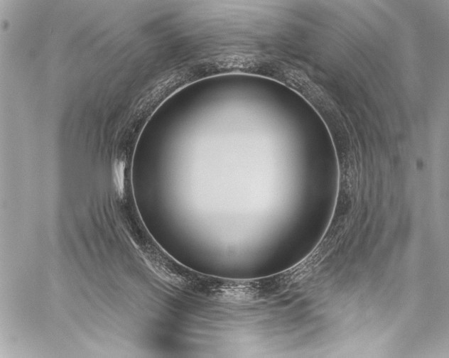 X0000060240070200510281129