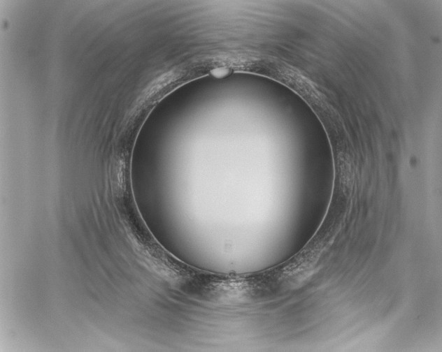 X0000060240071200510281130