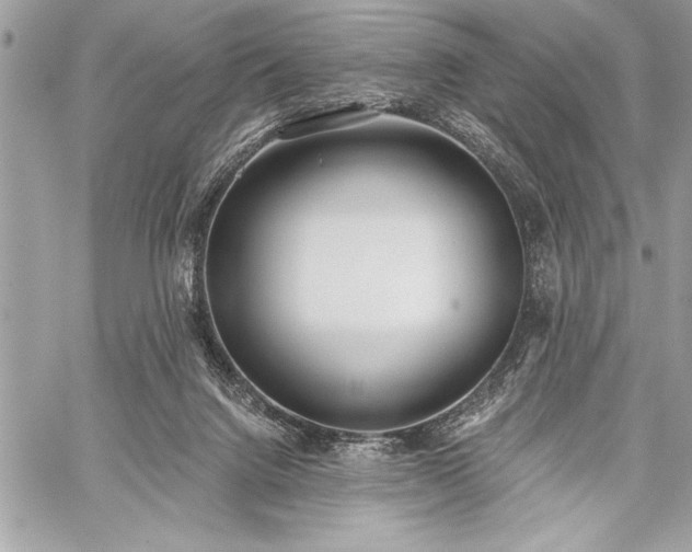 X0000060240072200510281130