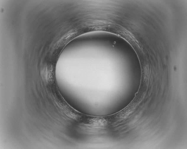 X0000060240073200510281130