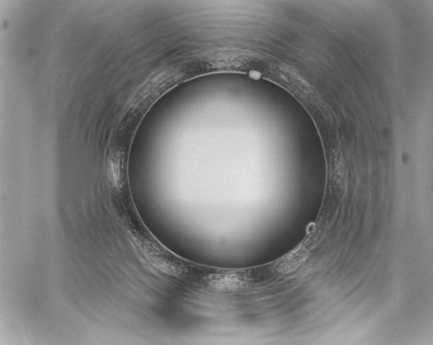 X0000060240074200510281130