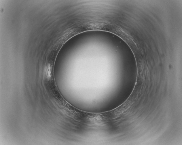 X0000060240075200510281130