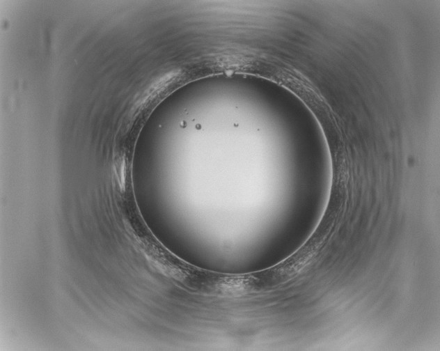 X0000060240076200510281130