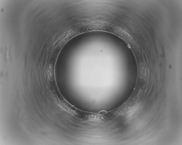 X0000060240077200510281130