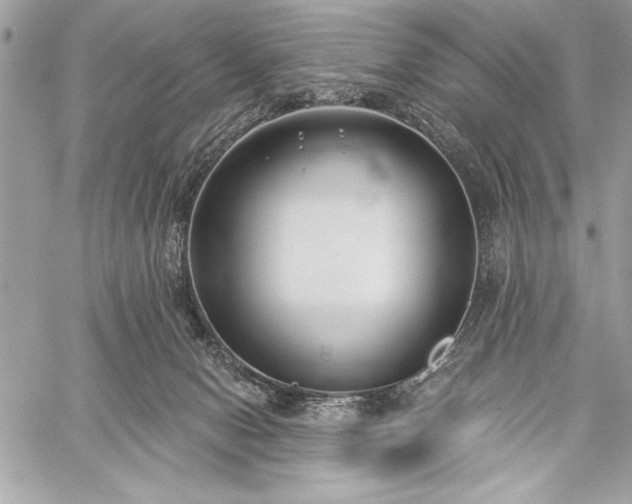 X0000060240078200510281130