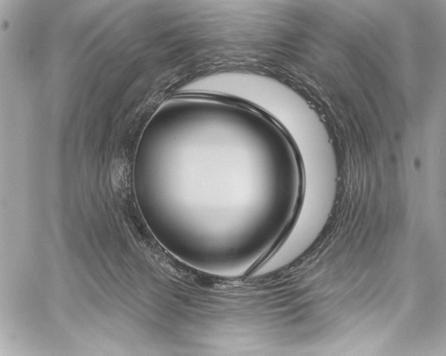 X0000060240079200510281130