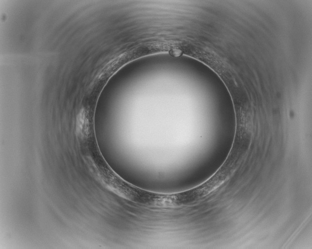 X0000060240080200510281130