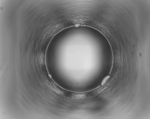 X0000060240081200510281130