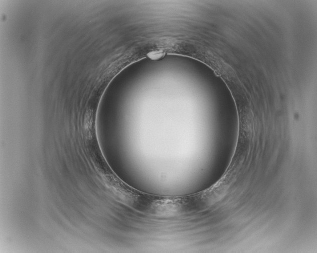 X0000060240082200510281130