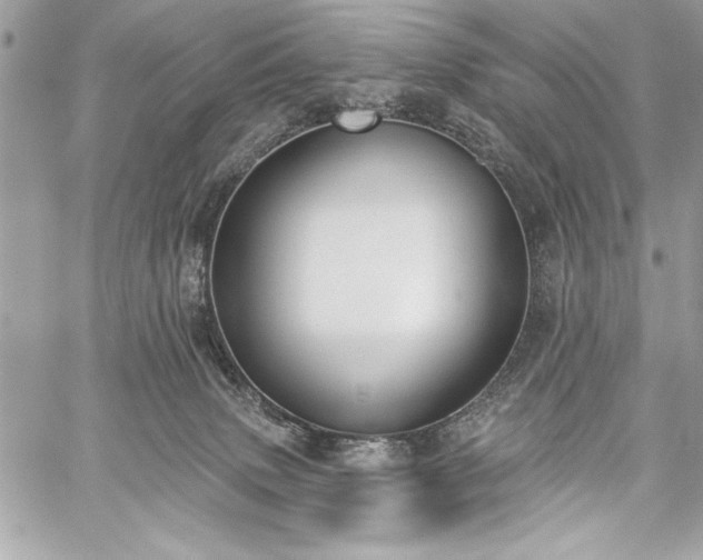 X0000060240083200510281130