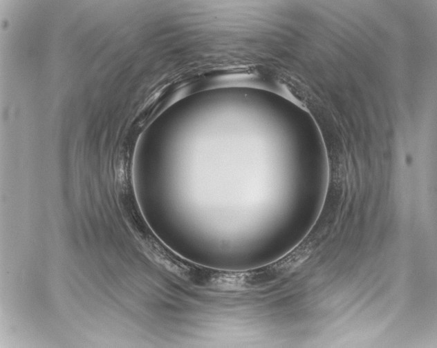 X0000060240084200510281130