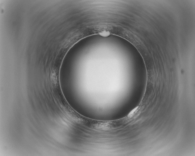 X0000060240086200510281130