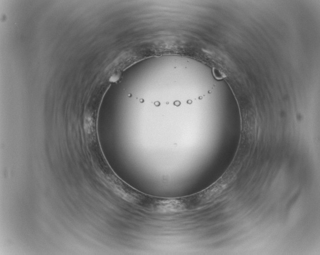 X0000060240087200510281130