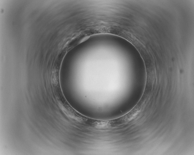 X0000060240088200510281130