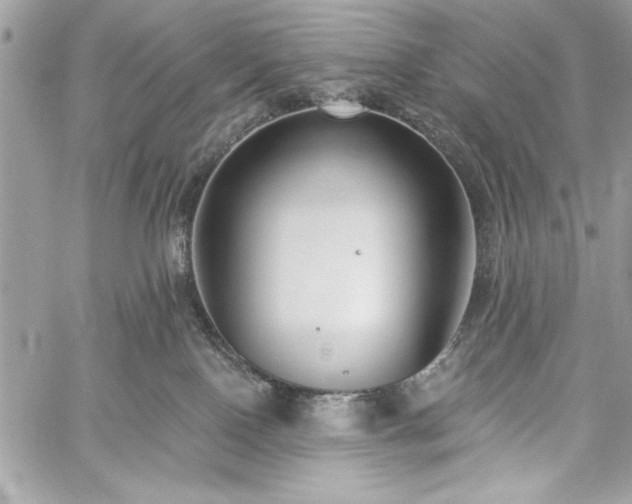 X0000060240090200510281130