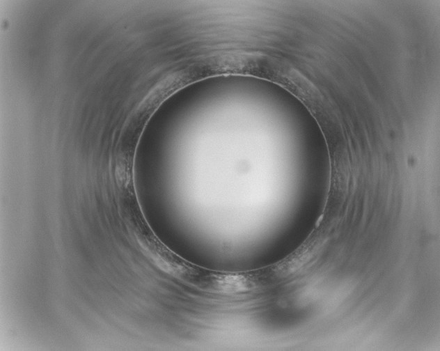 X0000060240091200510281130