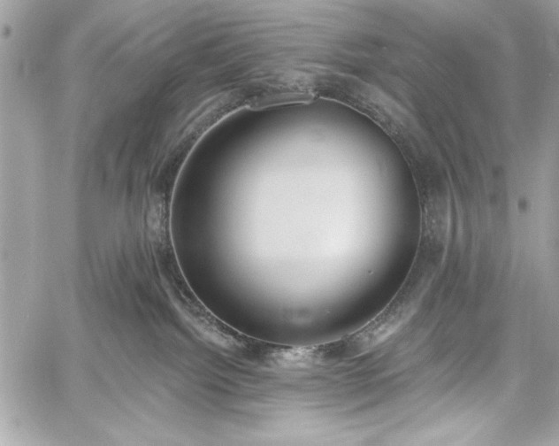 X0000060240092200510281130