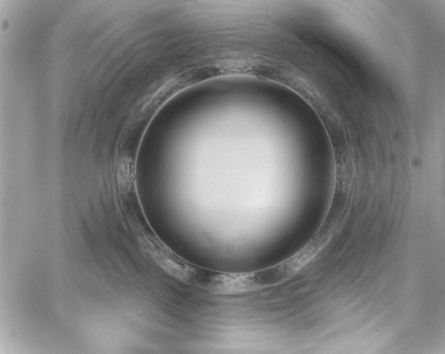 X0000060240093200510281130