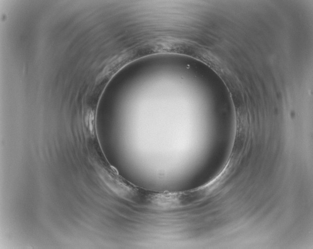 X0000060240094200510281130