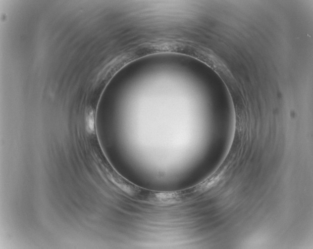 X0000060240095200510281130