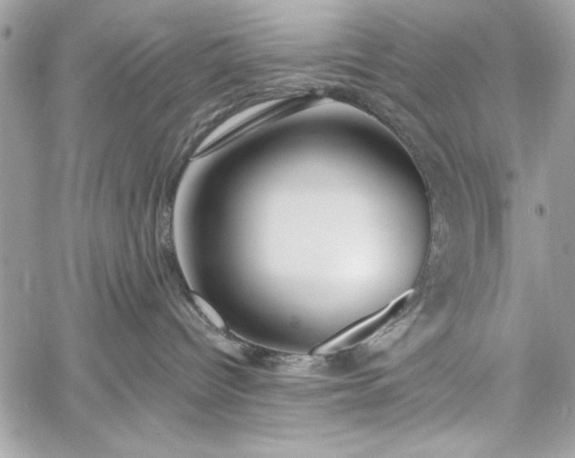 X0000060240096200510281130