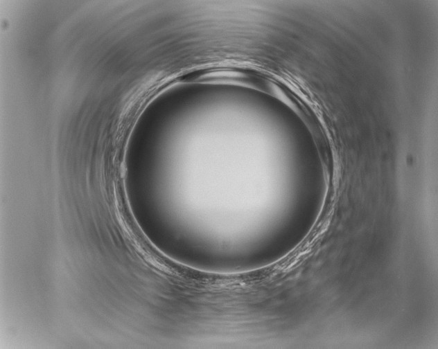 X0000060240097200510281129